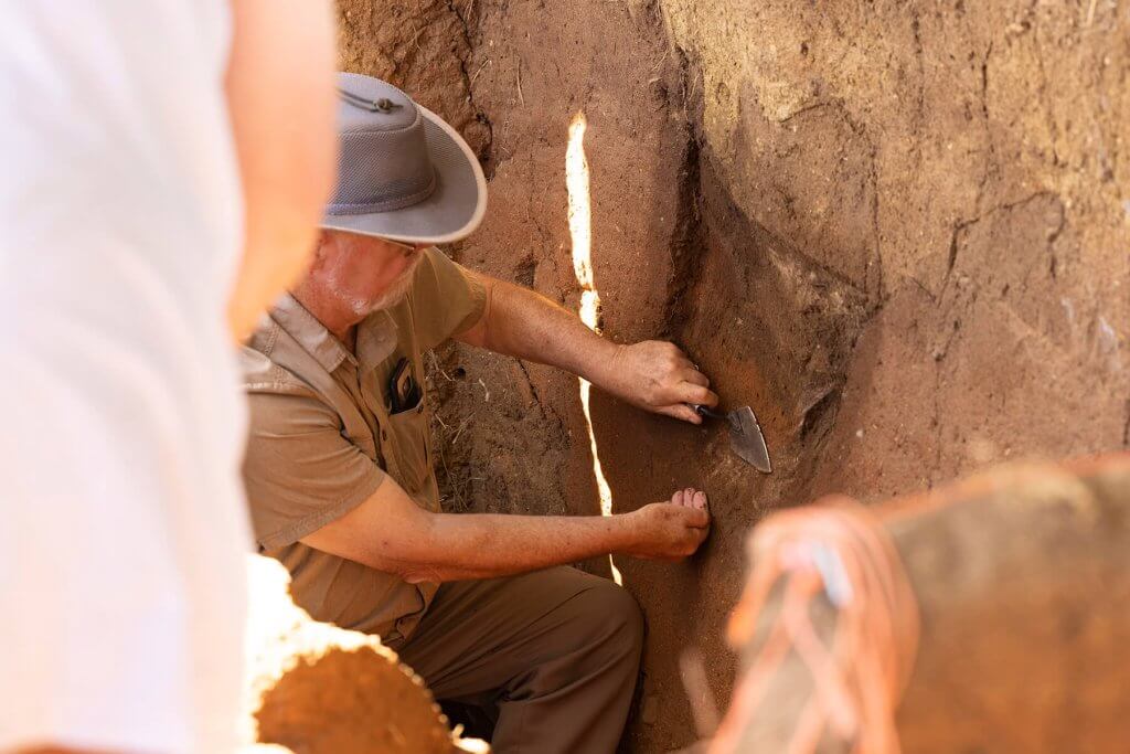 An archaeologist carefully excavates a soil profile with a trowel inside a narrow trench.