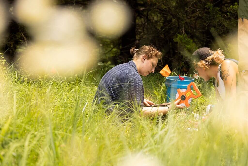 Two researchers sit in tall grass reviewing measurements with a tape reel during fieldwork.