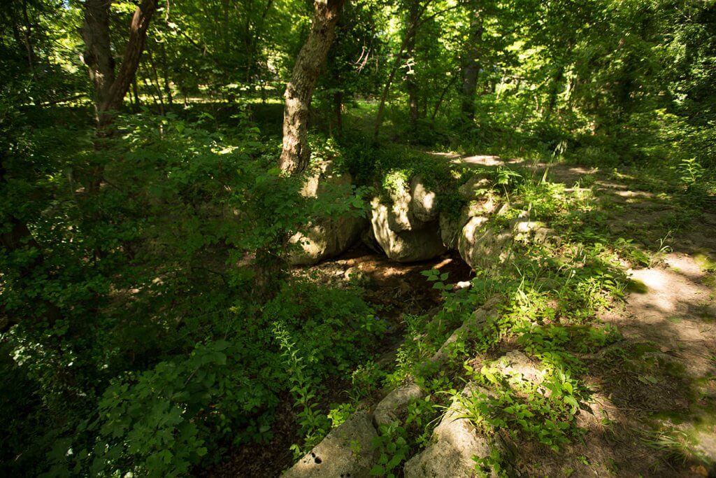 Shaded woodland area with exposed bedrock and a shallow rocky depression surrounded by trees.