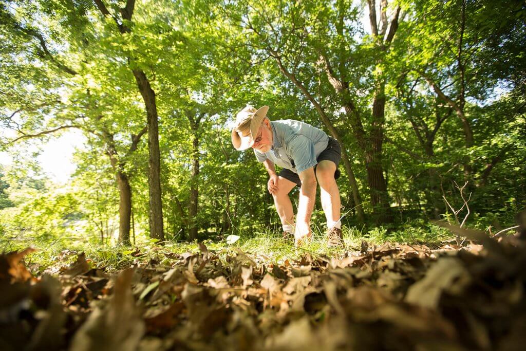 A researcher bends to examine the ground in a forested area covered with fallen leaves.