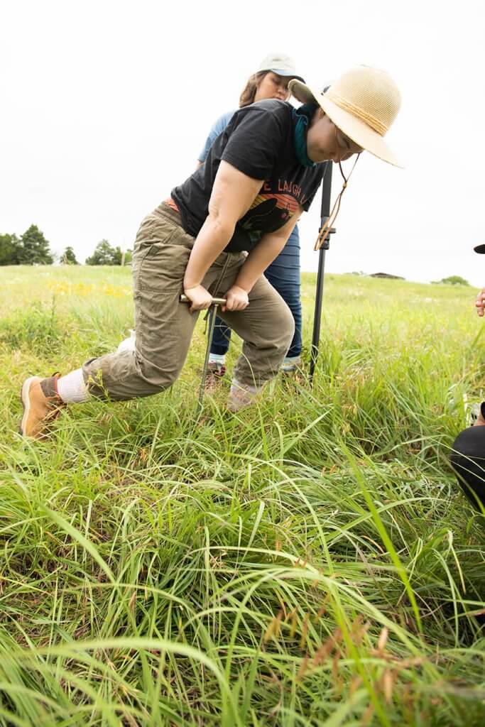 A researcher presses a soil probe into tall grass during archaeological field sampling.