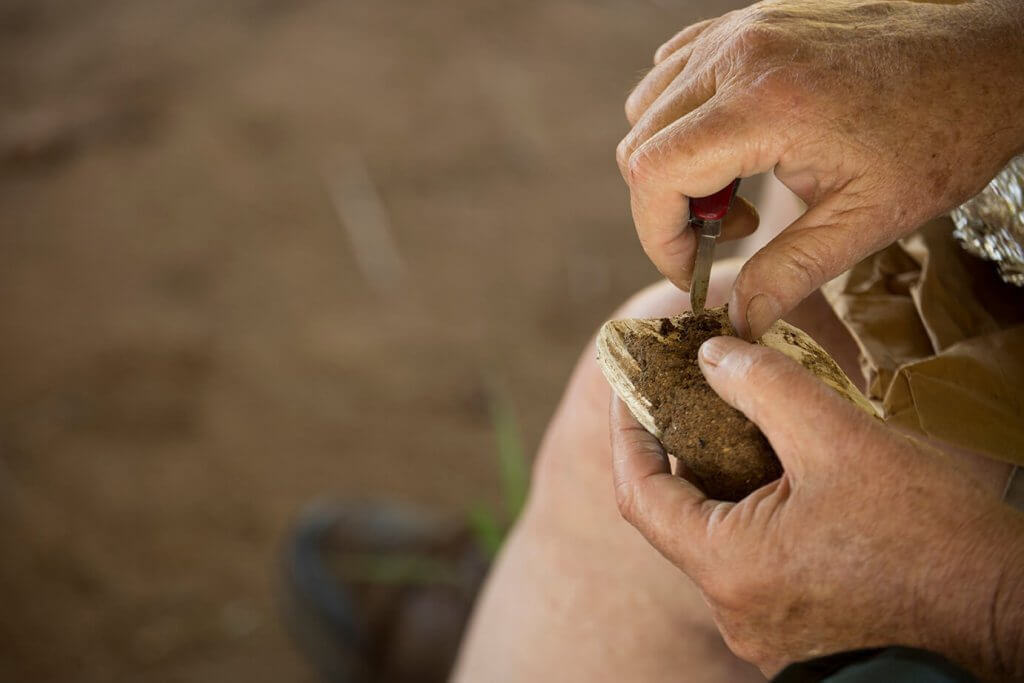 Close-up of hands carefully cleaning a pottery sherd with a small tool, removing soil from the surface.