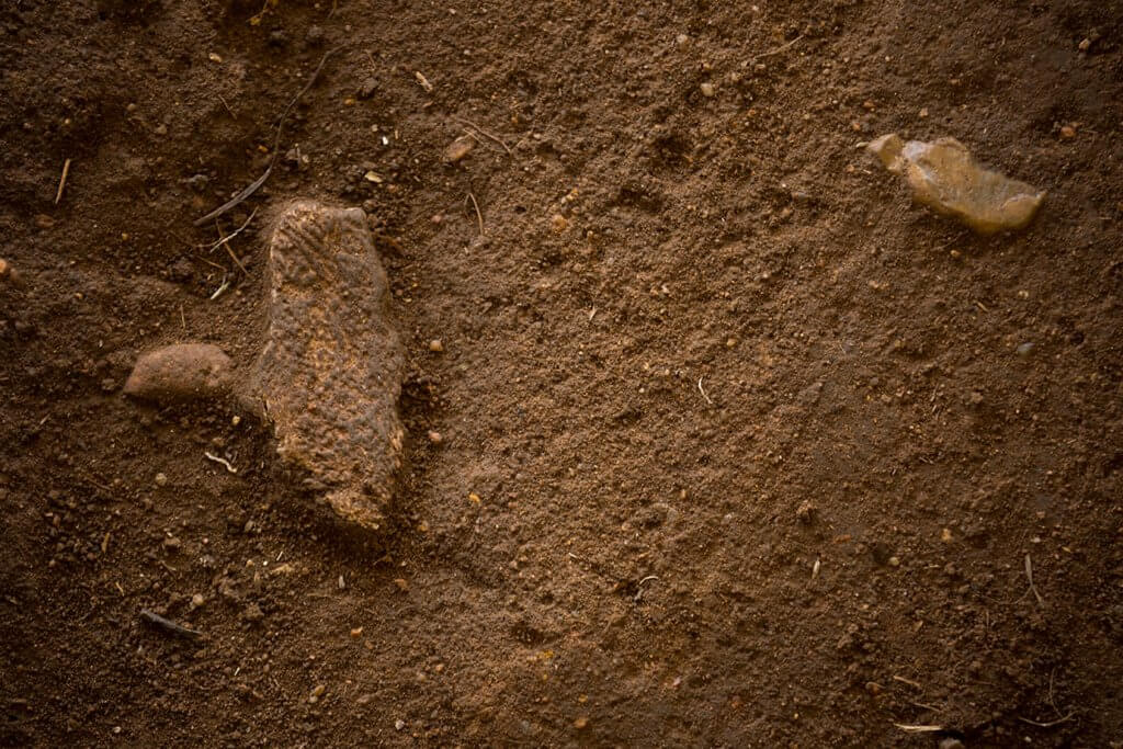 Pottery sherds partially embedded in compacted soil, showing artifacts in situ within an excavation layer.