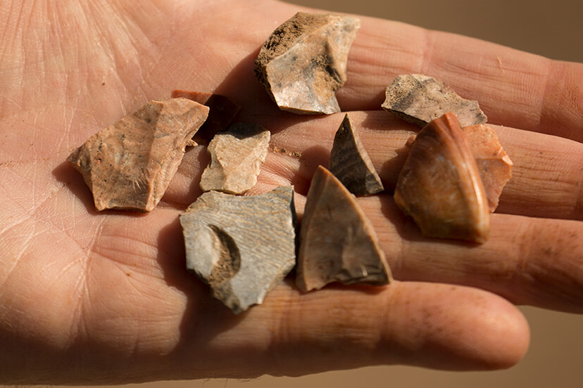 Several small stone tool fragments displayed in the open palm of a person’s hand.
