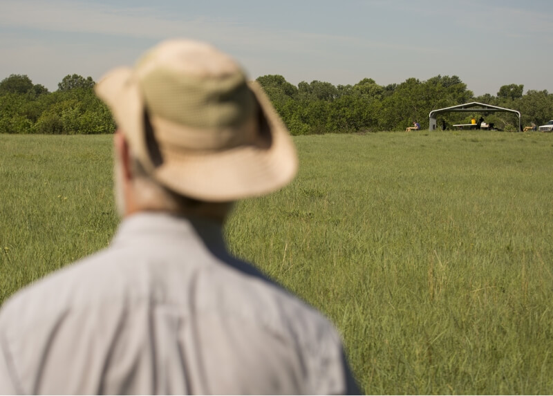 A person in a sun hat stands in a grassy field looking toward a distant canopy where people are gathered.